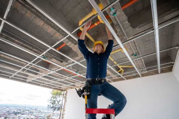 Best Local Plumber Services  in Greenbriar, FL