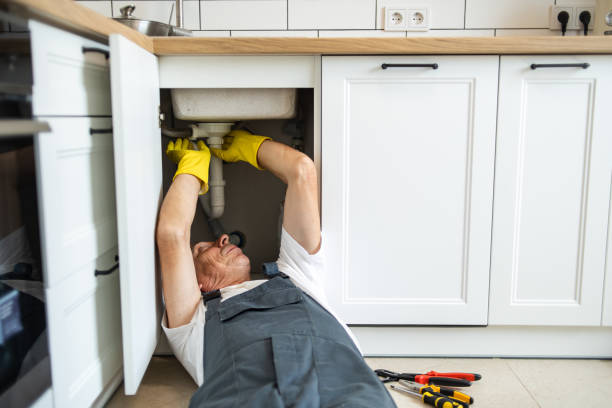 Best Clogged Drain Plumber  in Greenbriar, FL